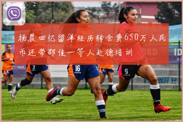 杨晨回忆留洋经历转会费650万人民币还带邵佳一等人赴德培训
