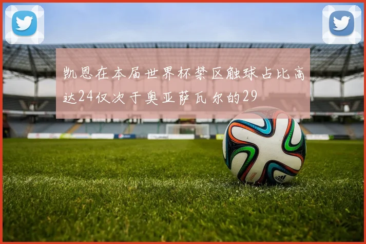凯恩在本届世界杯禁区触球占比高达24仅次于奥亚萨瓦尔的29